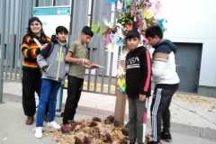 WhatsApp-Image-2022-11-18-at-10.23.21-1