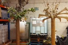arboles