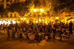 DSC00501